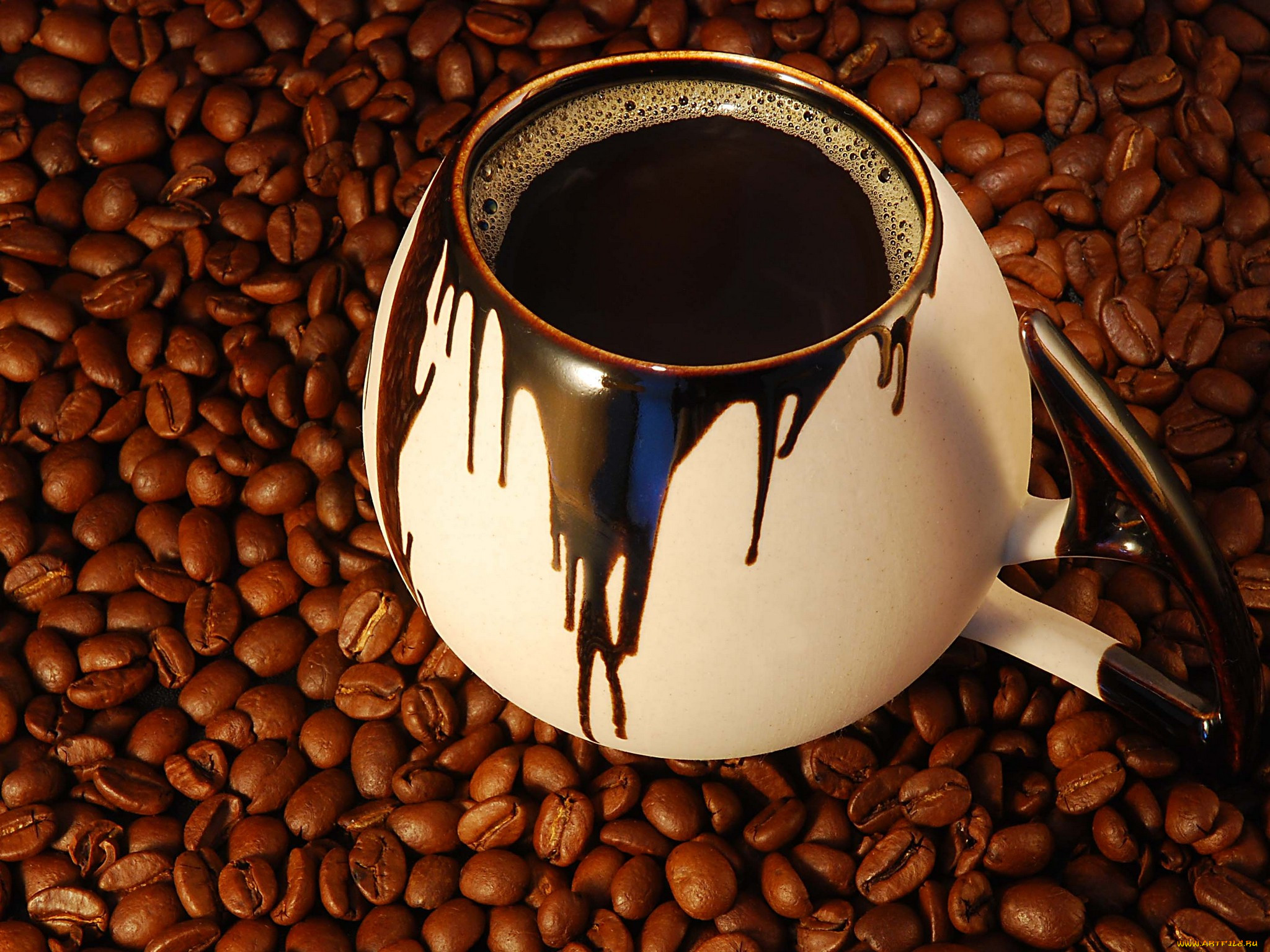 Кофе в зернах мокко. Арабика. Кофе фото. Мокко кофе. Сорт кофе мокко.